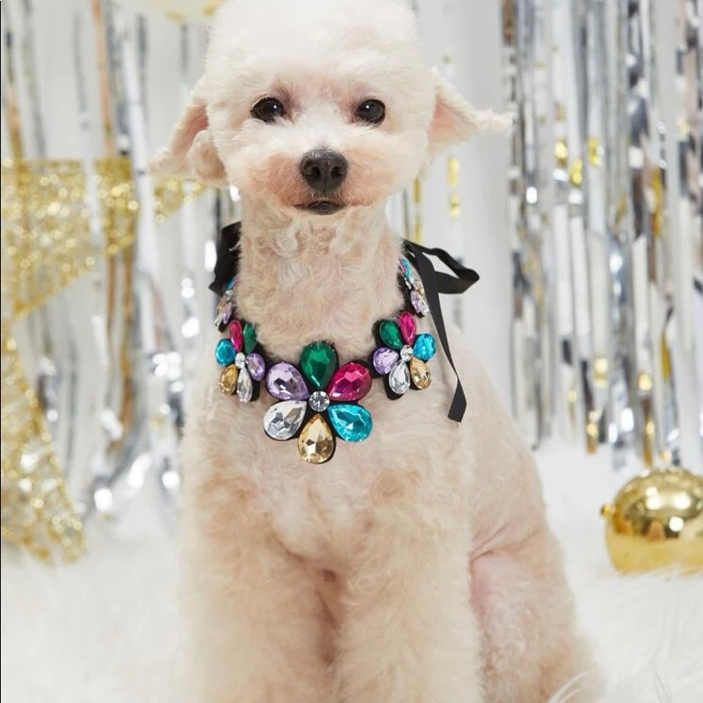 Rhinestone Flower Deco Pet Necklace